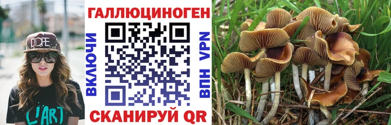 Галлюциногенные грибы Psilocybe  hydra ССЫЛКА  Полярный  хочу наркоту 